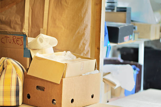 Best Household Junk Removal  in Burton, SC